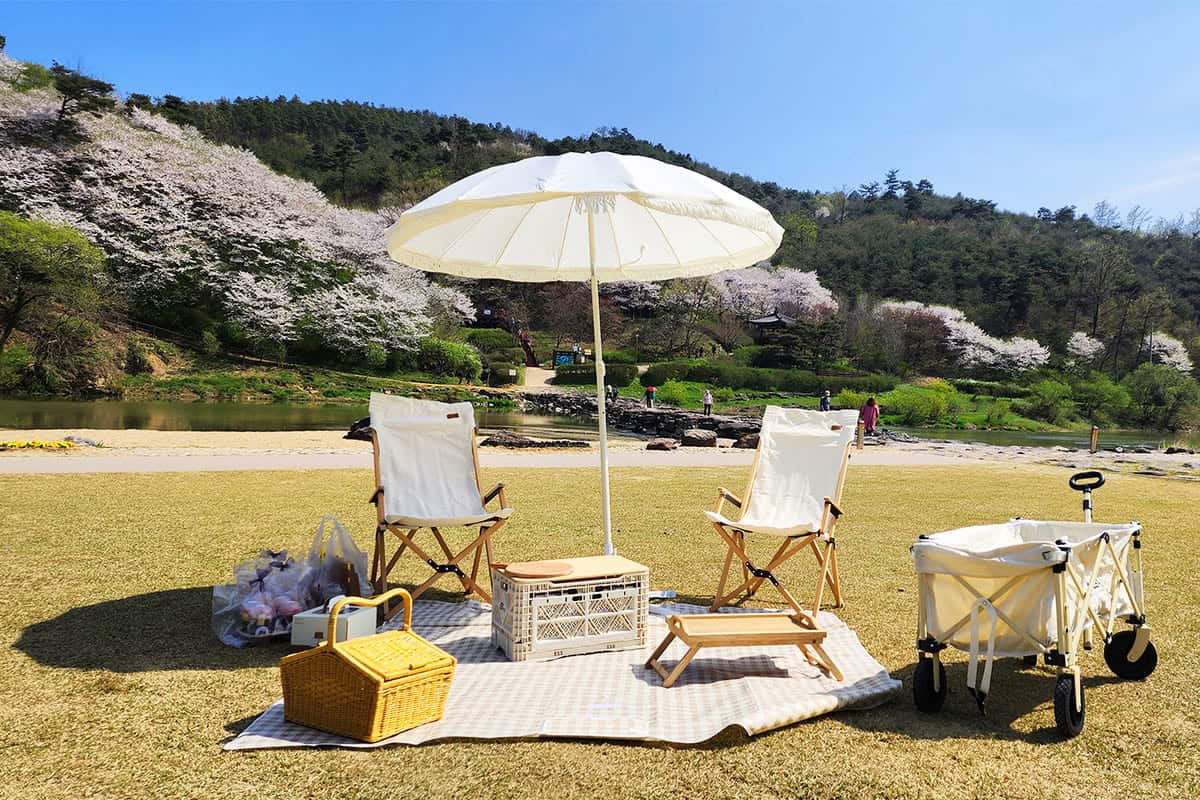 진천 농다리 둘레길 출렁다리 주차장