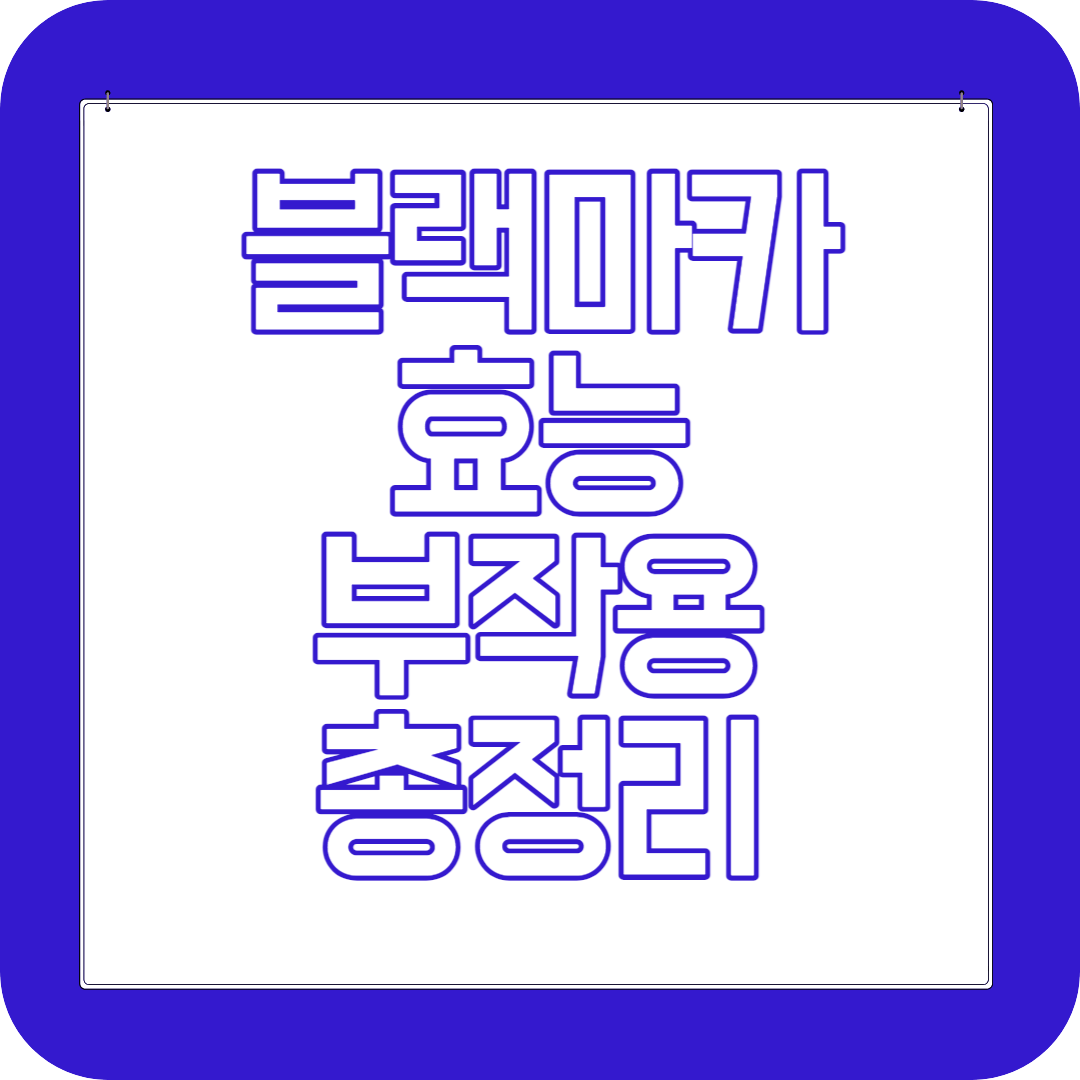 블랙마카 효능 부작용 섭취방법
