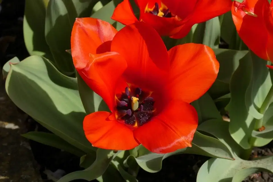 혼잣말 훈련으로 만드는 심리 탄력성