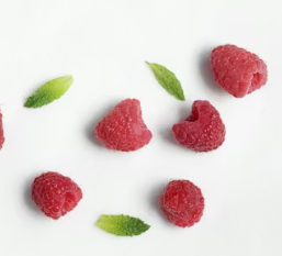 류마티스 관절염에 좋은 음식 영양제 식단