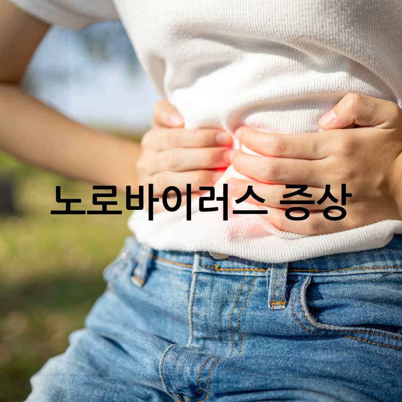 노로바이러스증상