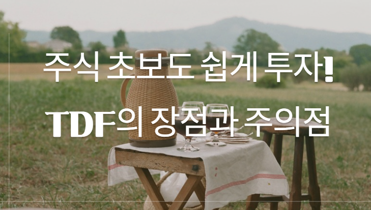 주식 초보도 쉽게 투자! TDF의 장점과 주의점 관련 이미지