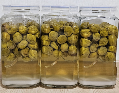 자일로스 설탕으로 담은 매실청.