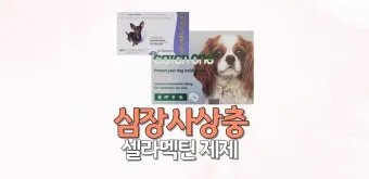 심장사상충약 복용 시기 가격 강아지 고양이 직구 부작용_15