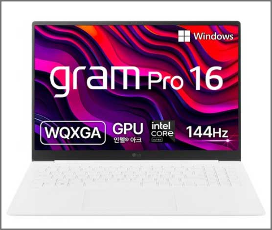 LG전자 2024 그램 Pro 16