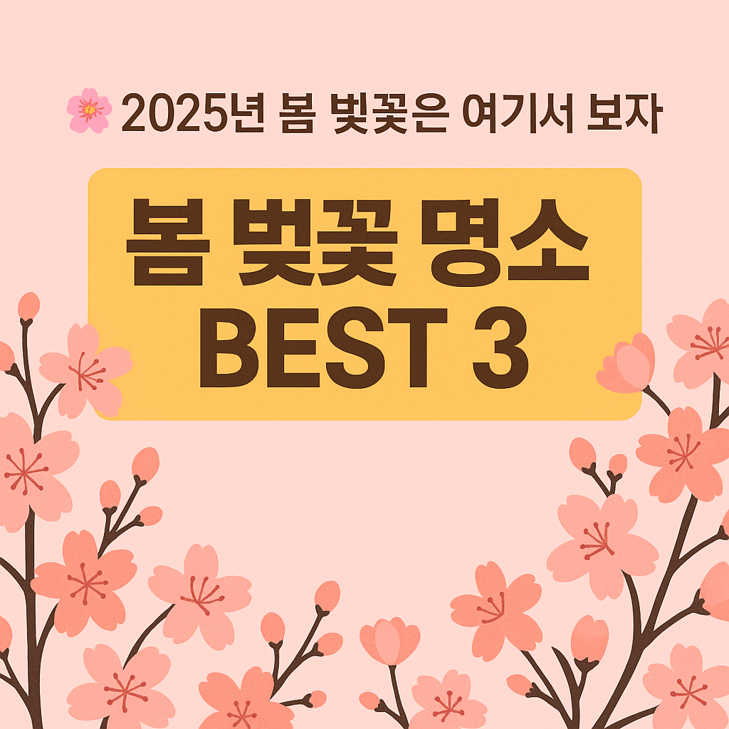 2025년 봄, 벚꽃은 여기서 보자!