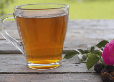 우엉차 효능 10가지 및 부작용