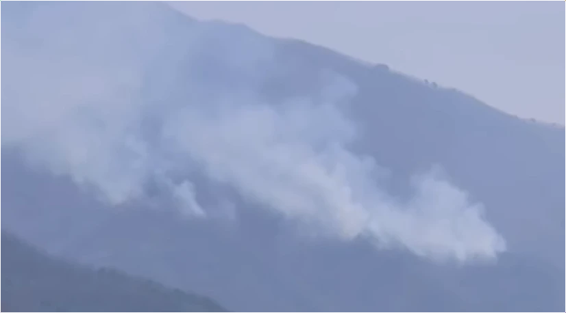 경북-산불-피해