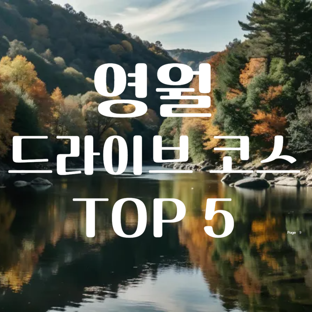 영월 드라이브 코스 TOP 5