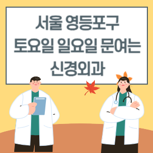 서울 영등포구 토요일 일요일 신경외과 진료 병원 리스트
