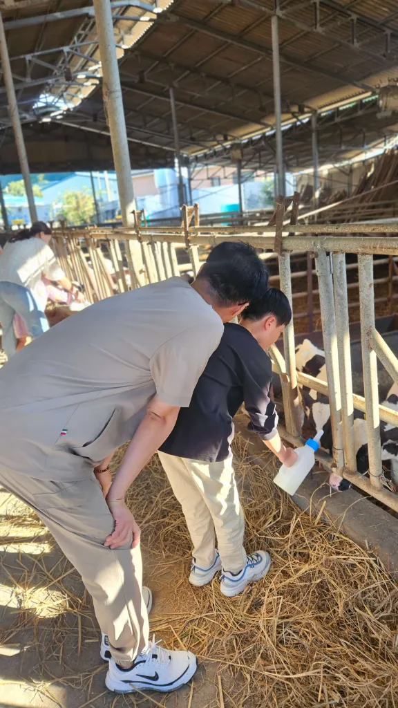 젖소에게 우유를 주면서 행복을 느끼고 있는 모습
