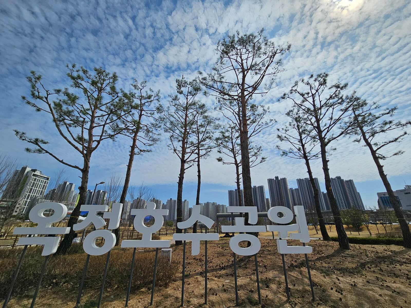 옥정호수공원, 낮과 밤이 다른 도심 속 힐링 산책 코스