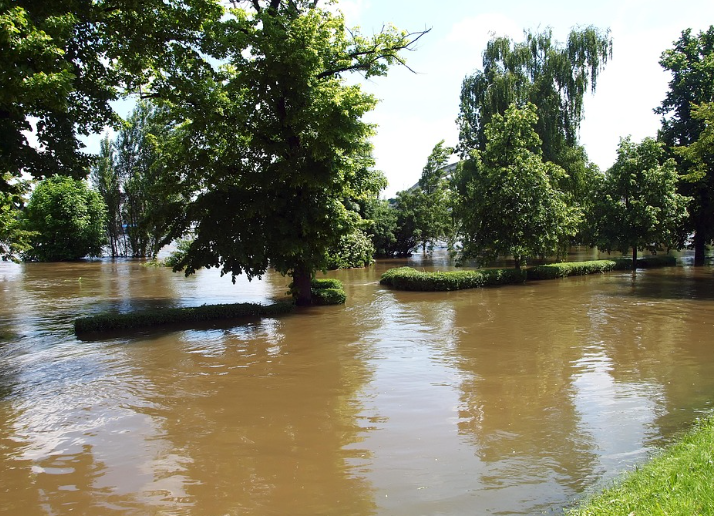 폭우피해보상 - 금융지원, 긴급생활안정자금, 납입유예, 융자연장, 카드청구유예, 채무조정까지
