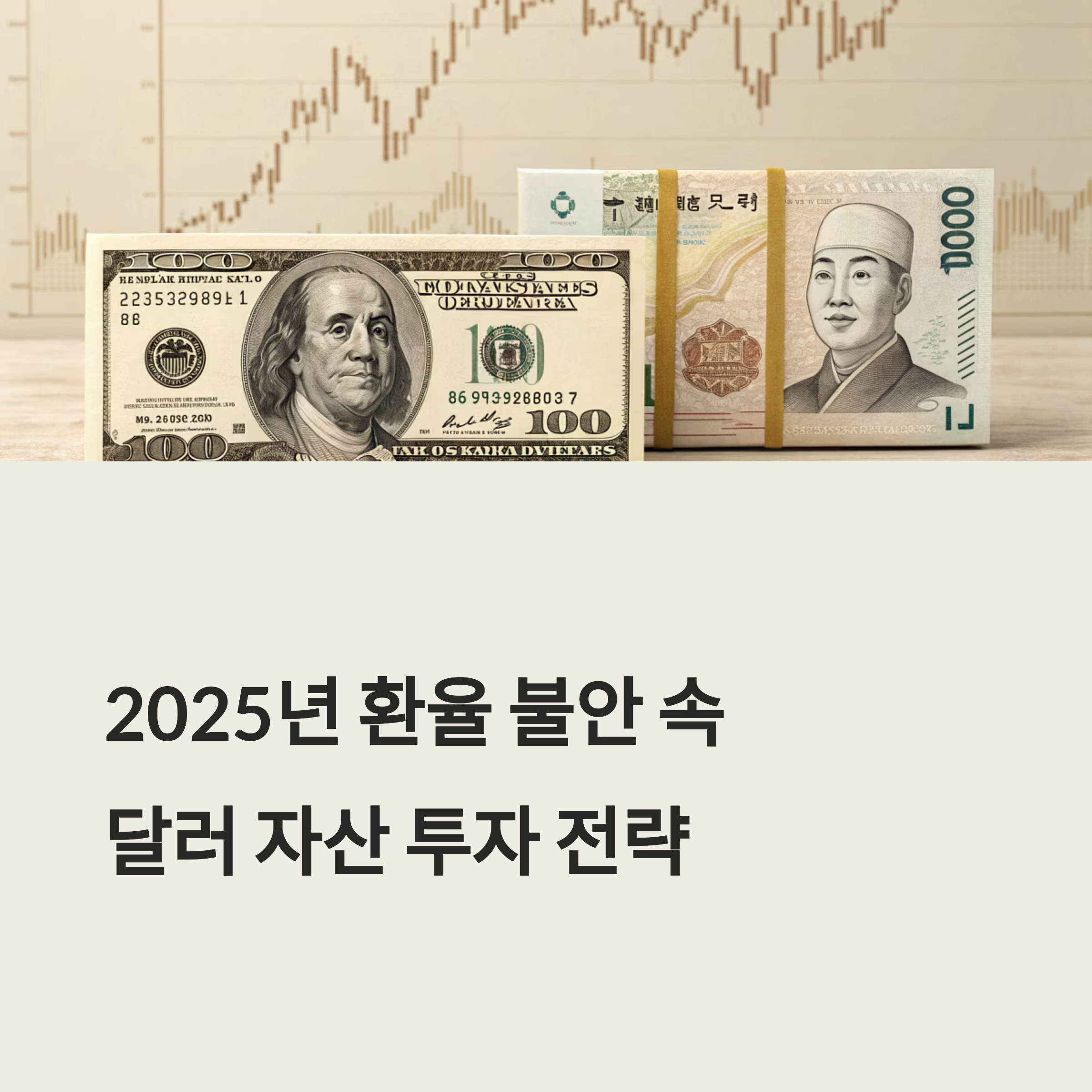 환율 불안 속 달러 자산 투자 전략