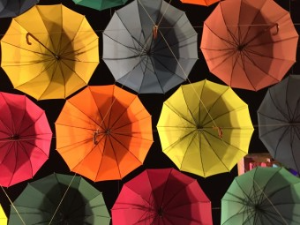 에버랜드 연간회원권