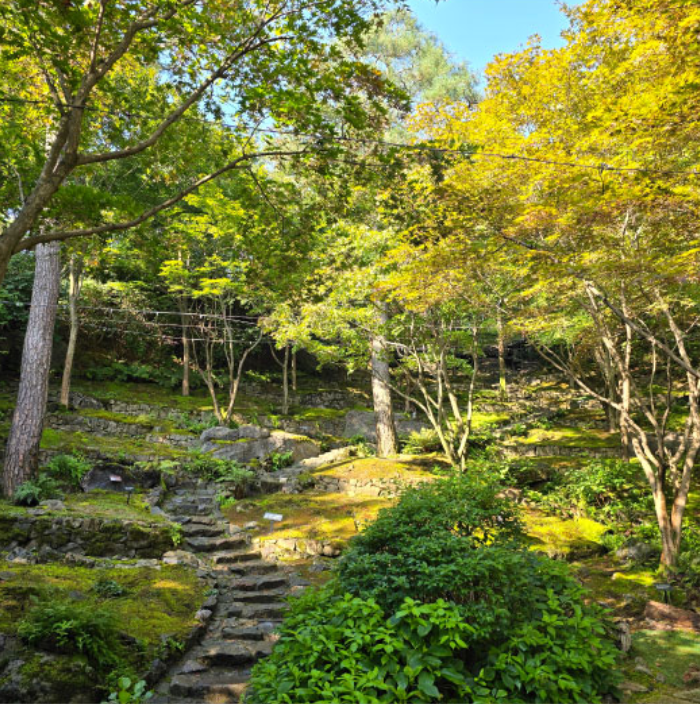 화담숲 예약방법 예약하기 단풍 절정 시기 입장료 모노레일 정보