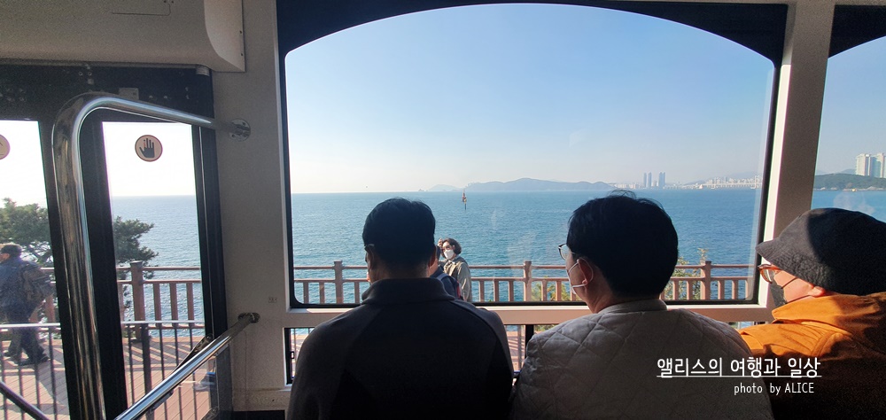 블루라인파크 해운대 해변열차 & 스카이캡슐 바다뷰