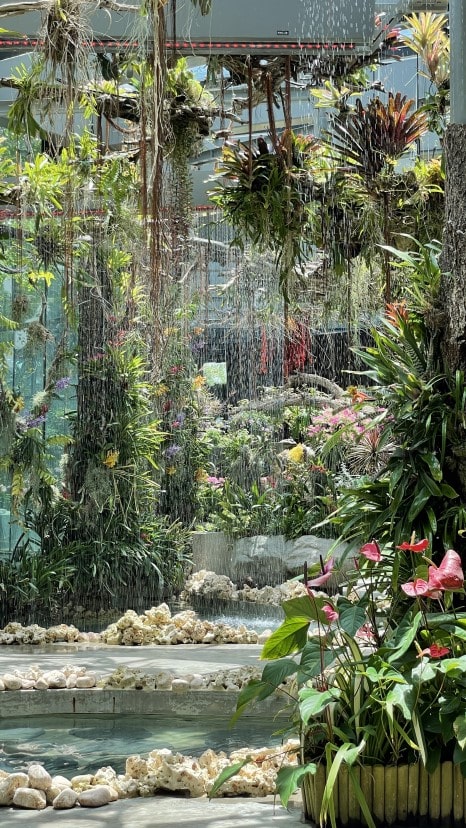 가든스 바이 더 베이 플로러 판타지