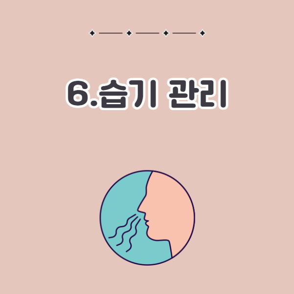 집 냄새 빼는 법, 습기 관리하기