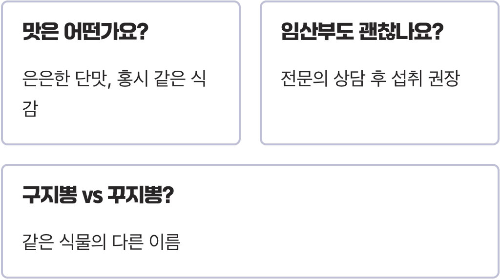 구지뽕효능 A to Z (여성질환, 항암효과, 당뇨 총정리)