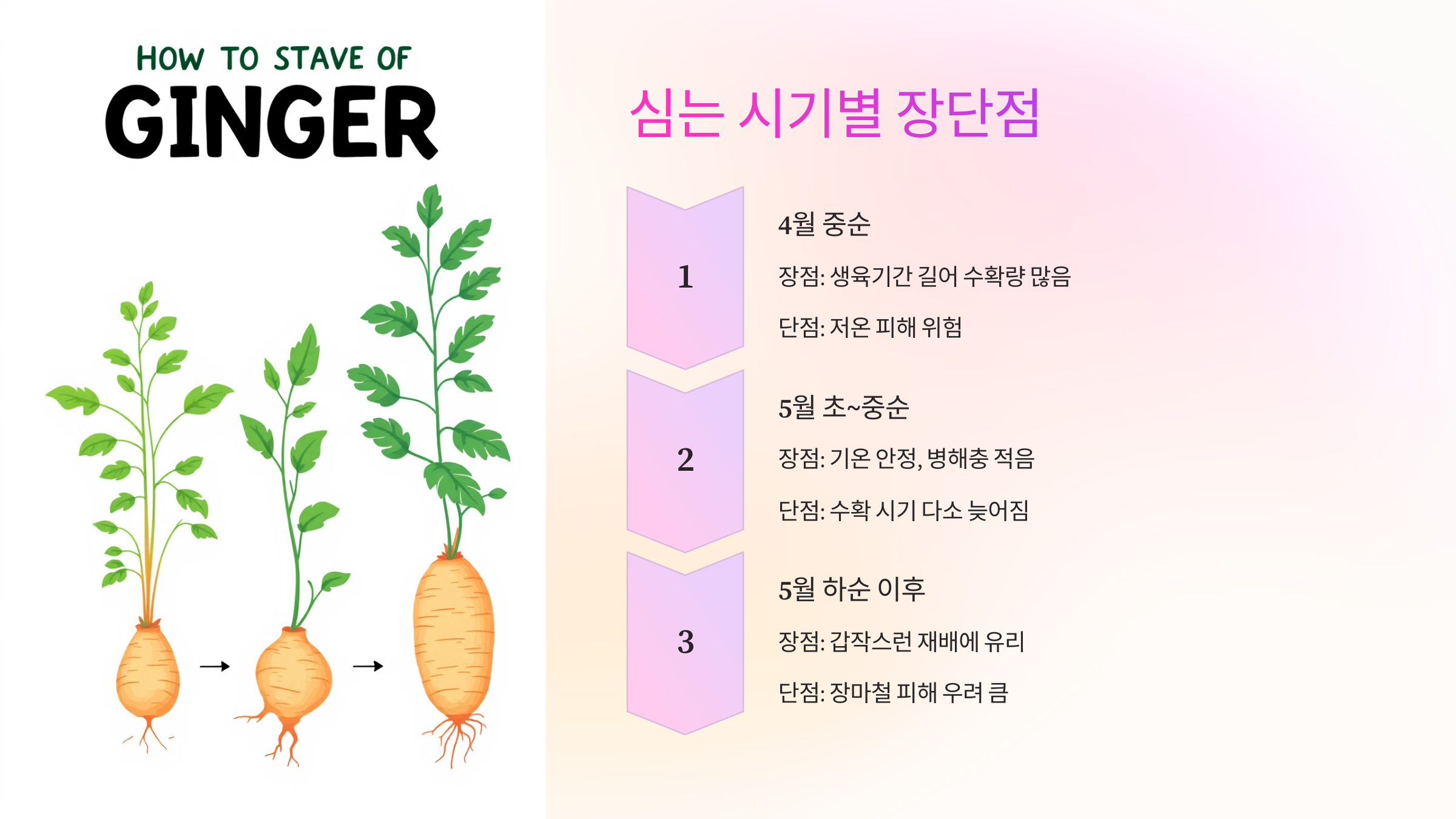 📅 심는 시기별 장단점