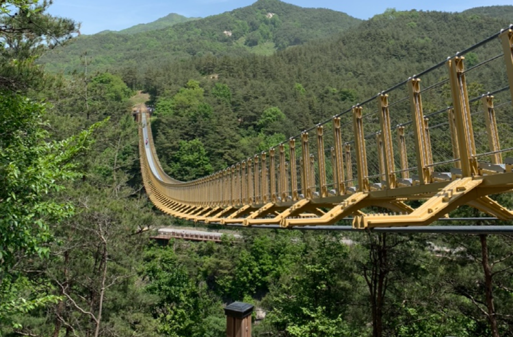 거창 수승대 출렁다리