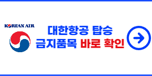 비행기 탑승시 금지물품