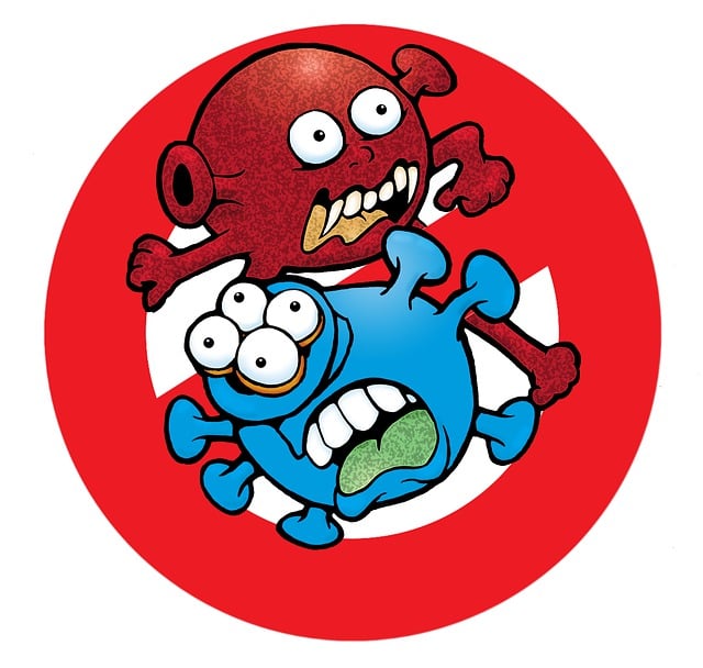 살모넬라균 관련이미지