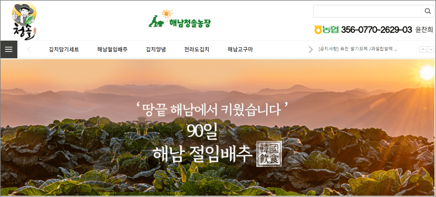 해남절임배추