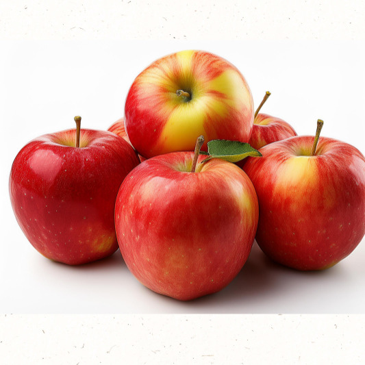 사과 단면, 아삭한 과육이 돋보이는 9월 제철 사과