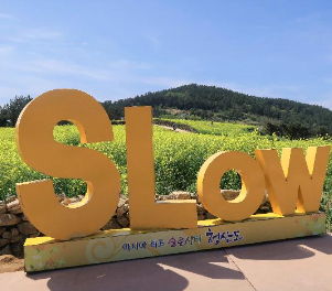 6시내고향 장어탕 완도 슬로걷기 축제