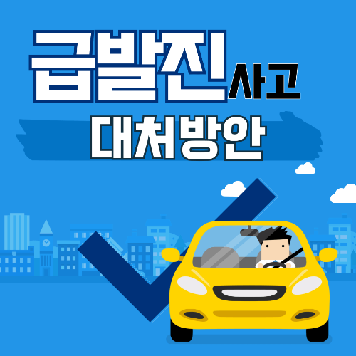 급발진 대처방안