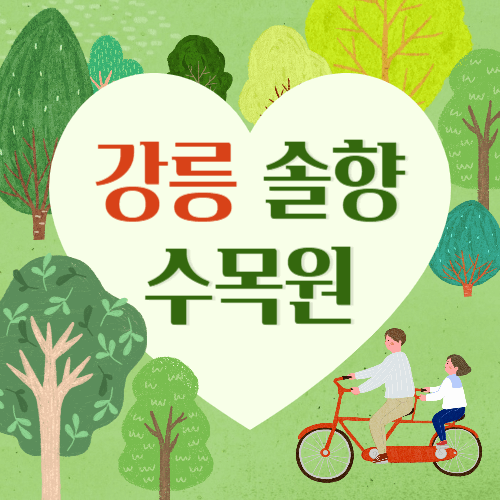 강릉솔향수목원 야간개장 입장료&#44; 주차장&#44; 근처 맛집&#44; 숙소&#44; 주변 관광지