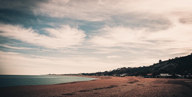 혈액순환에 좋은 음식 4