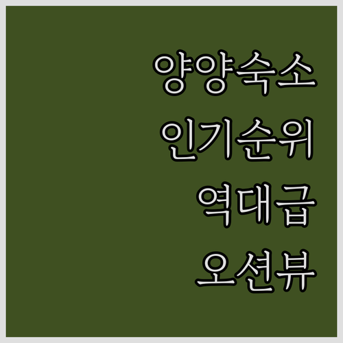 양양 호텔 펜션 인기 순위와 신축 오..