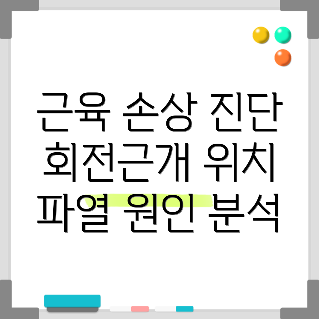 회전근개 파열