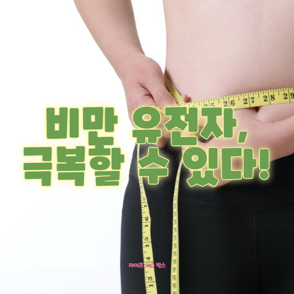 건강하게 체중을 관리하는 방법