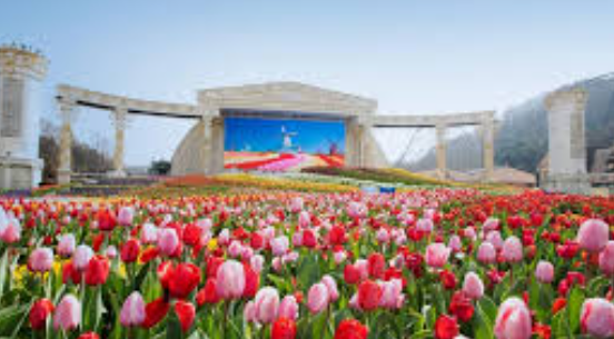 서울 근교 나들이 여행 경기도 4월 봄꽃축제 가볼만한곳 TOP 05 일정 장소 특징 정리