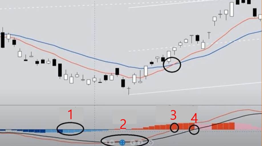 MACD 매매신호 순서-이미지