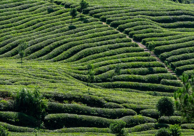 [기미&middot;잡티 고민 끝] 트라넥삼산 선크림 효능과 부작용 총정리!