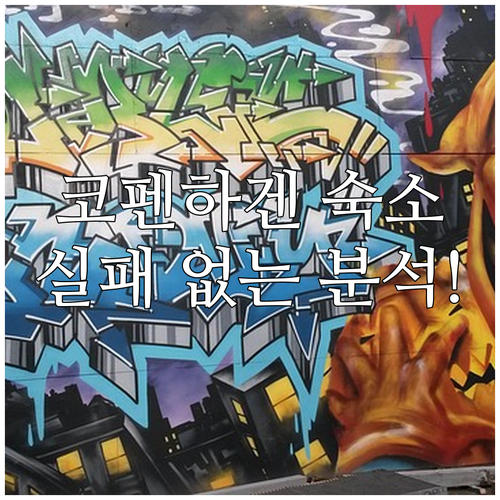 코펜하겐 여행 숙소 가이드 가성비 호..
