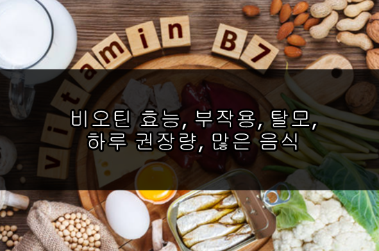 비오틴 효능, 부작용, 탈모, 하루 권장량, 많은 음식
