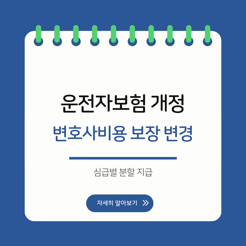 2025 운전자보험 개정 내용 요약
