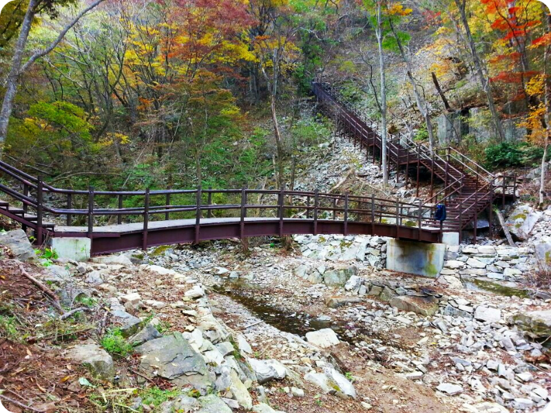 내장산국립공원(케이블카) 이미지/출처: 정읍시 문화관광