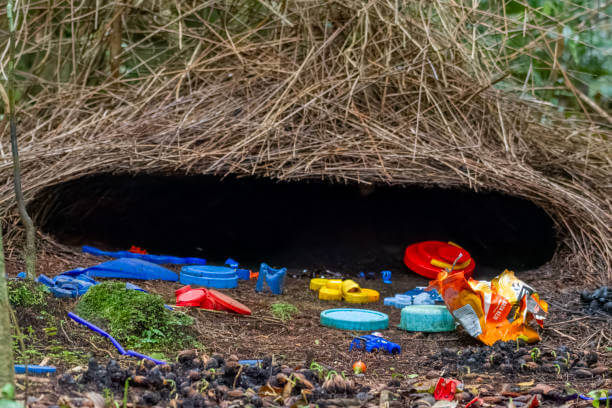 전천후 차박지 노하우 - 차 근처 임시 쉼터와 긴급 용품