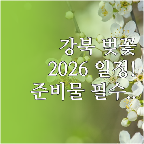 2026년 강북구 벚꽃 나들이를 위한..