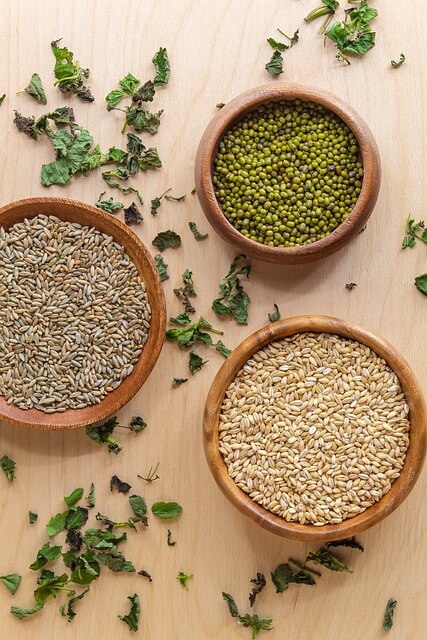 녹두-심는-시기