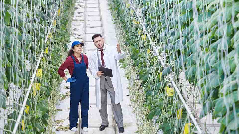 스마트팜 센서 기술의 종류와 작동 원리: 환경을 읽는 기술의 정밀성