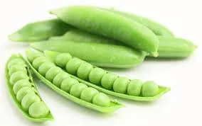 종합소득세 환급금 조회