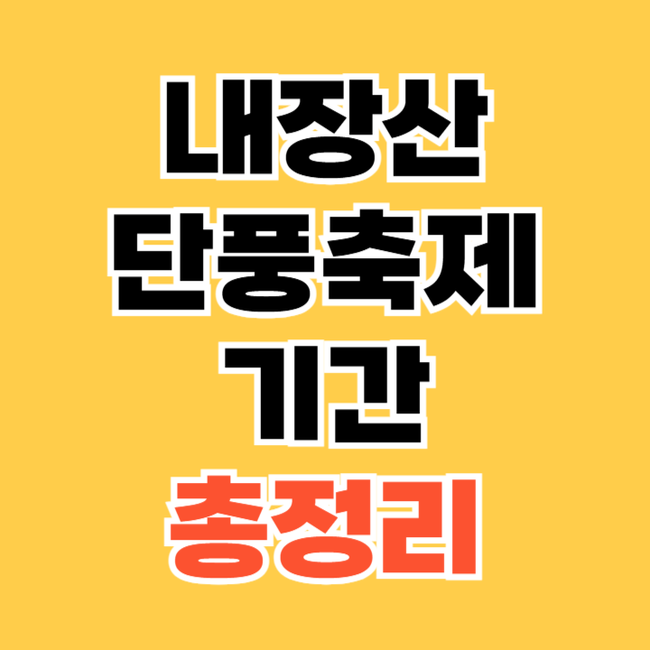 내장산 단풍축제 기간